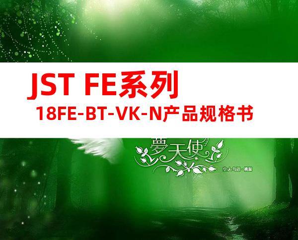 JST FE系列 18FE-BT-VK-N产品规格书